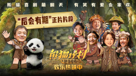 国产精品视频a